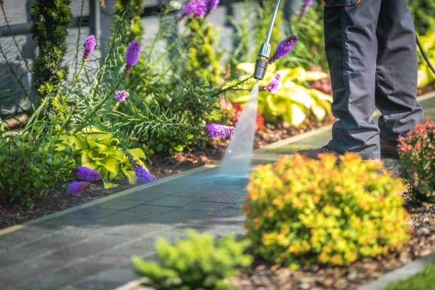 Best Gutter Cleaning  in Sand Hill, PA